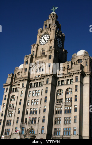 Le Royal Liver Building, Pier Head Liverpool, Merseyside, Royaume-Uni Banque D'Images