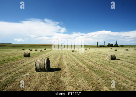 Paysage pittoresque avec des balles de foin roulé Banque D'Images