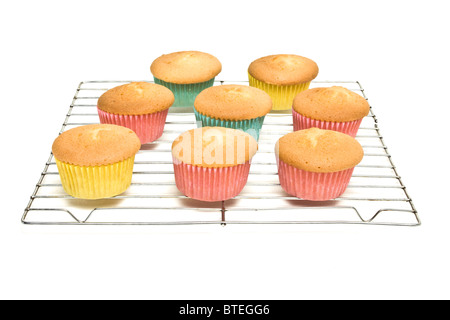 Accueil cupcakes au four de grillage métallique sur refroidissement rack de perspective faible isolé sur blanc. Banque D'Images