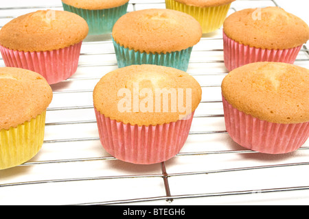 Accueil cupcakes au four de grillage métallique sur refroidissement rack de perspective faible isolé sur blanc. Banque D'Images