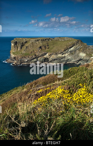 Île à Tintagel Banque D'Images