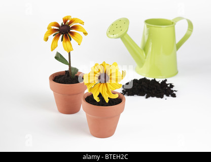 Deux mini-pots avec mini arrosoir Banque D'Images