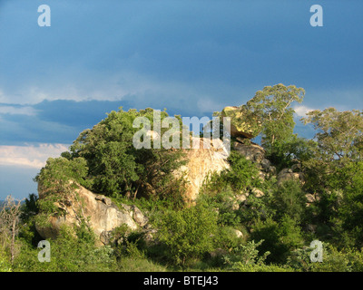 Vue panoramique de granit koppies dans le sud du Parc National Kruger Banque D'Images