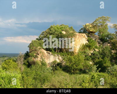 Vue panoramique de granit koppies dans le sud du Parc National Kruger Banque D'Images