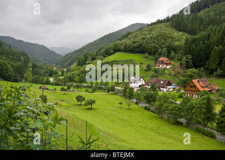 Beau paysage de la Forêt-Noire, Allemagne Banque D'Images