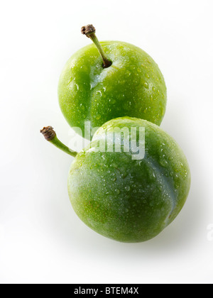 Les prunes Greengage entier frais sur un fond blanc à découper Banque D'Images