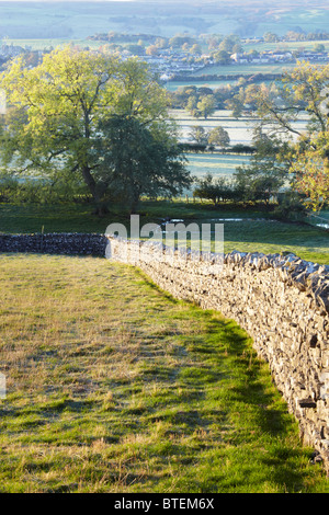 Un mur de pierres sèches typique attrape le soleil du matin près de Leyburn dans Wensleydale, Yorkshire Dales National Park Banque D'Images