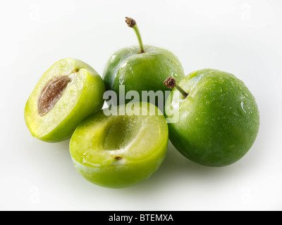 Toute fraîche et couper les prunes Greengage contre un fond blanc à découper Banque D'Images