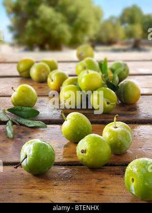 Prunes fraîches cueillies Greengage sur une table en bois Banque D'Images