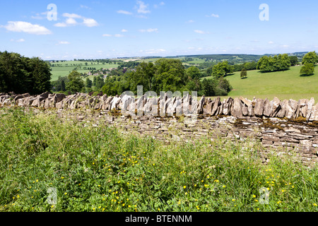 Un mur en pierre sèche Cotswold typique sur les collines au-dessus du village d'Guiting Power, Gloucestershire Banque D'Images