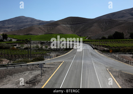 Route principale passant par les vignobles, vallée de Copiapo, Región de Atacama, Chili Banque D'Images