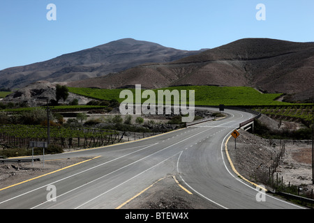 Route principale passant par les vignobles, vallée de Copiapo, Región de Atacama, Chili Banque D'Images