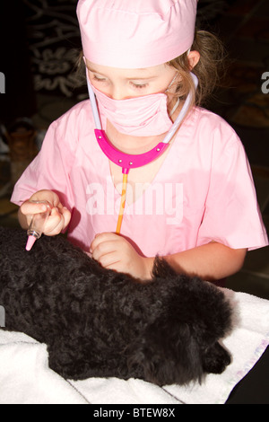 Jeune fille habillé comme un médecin ou un vétérinaire en aidant les petits chiens caniche rose Banque D'Images