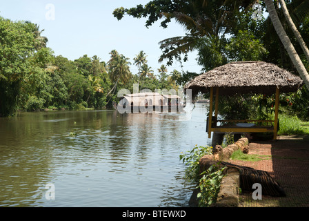 Péniche plusieur bateaux dans l'eau dormante de Kuttanad Alleppey Alappuzha ; ; ; ; Inde Kerala Banque D'Images