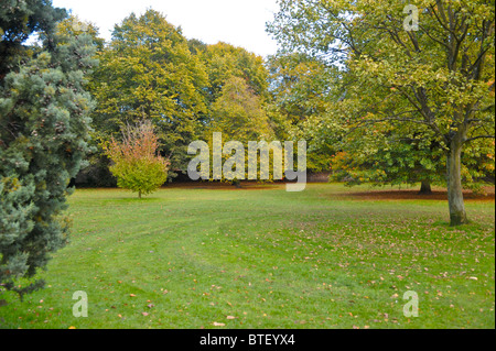 L'automne à Calderstones Park Liverpool. Banque D'Images