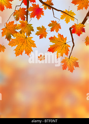 Très détaillée des feuilles d'automne l'accent très peu profonds. Banque D'Images