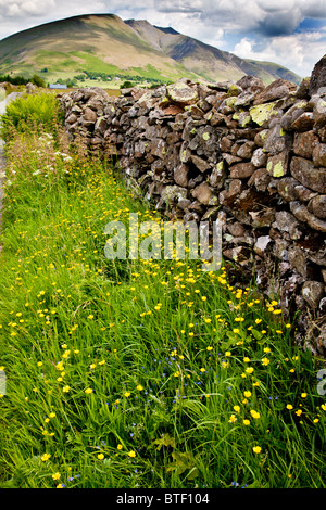 Un mur de pierres sèches et de fleurs sauvages près de cercle de pierres de Castlerigg dans le Parc National du Lake District, Cumbria, England, UK Banque D'Images