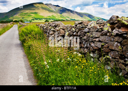 Un mur de pierres sèches et de fleurs sauvages près de cercle de pierres de Castlerigg dans le Parc National du Lake District, Cumbria, England, UK Banque D'Images