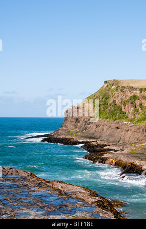 Waipapa Point, Curio Bay,Forêt Pétrifiée Fossell sur fond de mer, Waikawa, Porpoise Bay,l'île du Sud,Catlins, Nouvelle-Zélande Banque D'Images
