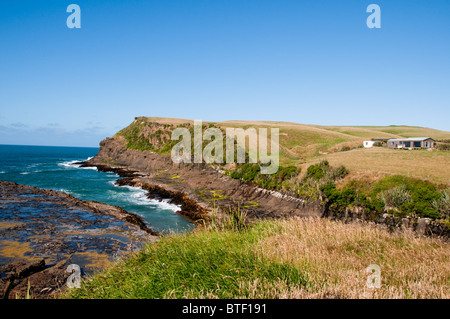 Waipapa Point, Curio Bay,Forêt Pétrifiée Fossell sur fond de mer, Waikawa, Porpoise Bay,l'île du Sud,Catlins, Nouvelle-Zélande Banque D'Images
