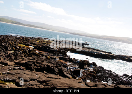 Waipapa Point, Curio Bay,Forêt Pétrifiée Fossell sur fond de mer, Waikawa, Porpoise Bay,l'île du Sud,Catlins, Nouvelle-Zélande Banque D'Images