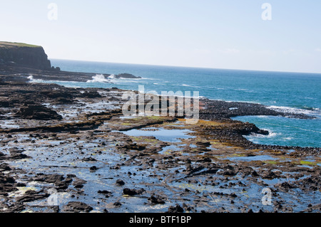 Waipapa Point, Curio Bay,Forêt Pétrifiée Fossell sur fond de mer, Waikawa, Porpoise Bay,l'île du Sud,Catlins, Nouvelle-Zélande Banque D'Images