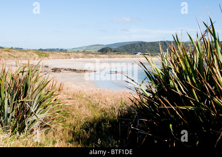 Waipapa Point, Curio Bay,Forêt Pétrifiée Fossell sur fond de mer, Waikawa, Porpoise Bay,l'île du Sud,Catlins, Nouvelle-Zélande Banque D'Images