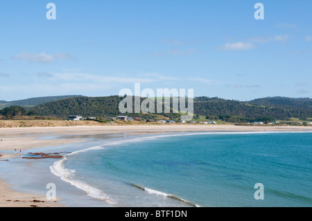 Waipapa Point, Curio Bay,Forêt Pétrifiée Fossell sur fond de mer, Waikawa, Porpoise Bay,l'île du Sud,Catlins, Nouvelle-Zélande Banque D'Images