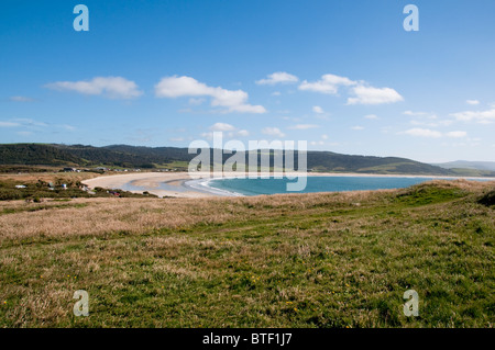 Waipapa Point, Curio Bay,Forêt Pétrifiée Fossell sur fond de mer, Waikawa, Porpoise Bay,l'île du Sud,Catlins, Nouvelle-Zélande Banque D'Images