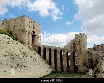 La Citadelle d'Alep en Syrie Banque D'Images