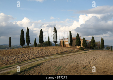 Scène typique de la Toscane, près de Pienza. Banque D'Images