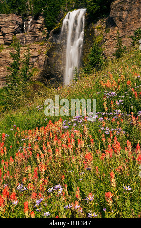 Crooked Creek Falls ; Bird Creek Meadows, Mont Adams Recreation Area, Yakama Indian Reservation, Washington. Banque D'Images