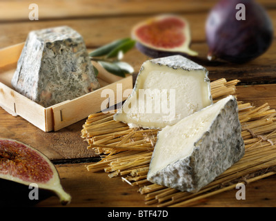 Valençay traditionnel fromage français Banque D'Images