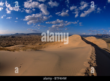 Dunes Kelso à Mojave National Preserve, en Californie. © Craig M. Eisenberg Banque D'Images