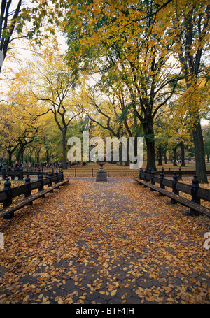 Les feuilles tombées sur un trajet dans Central Park, New York à l'automne. © Craig M. Eisenberg Banque D'Images
