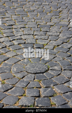 Pavement de la place du palais de Saint-Pétersbourg, Russie Banque D'Images