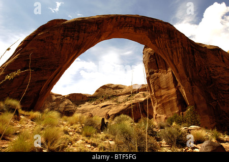 Pont Rainbow Arch Utah Banque D'Images