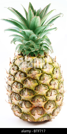 Gros ananas mûrs avec rosette d'un vert. Isolé sur fond blanc. Banque D'Images