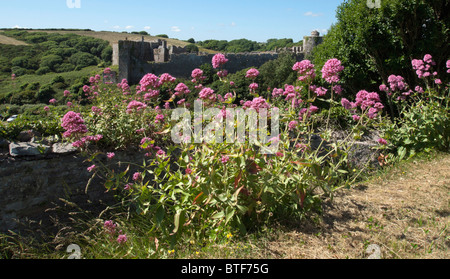 Ruines de château médiéval de st Florence sur la côte du Pembrokeshire, Pays de Galles dyfed Banque D'Images