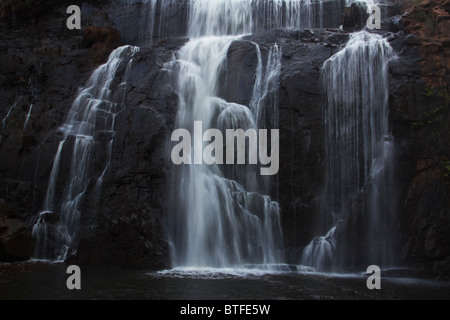 MacKenzie Falls dans le Parc National des Grampians, Victoria, Australie Banque D'Images