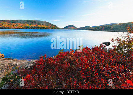 La couleur intense de l'automne, le lac Eagle, l'Acadia National Park, Maine Banque D'Images