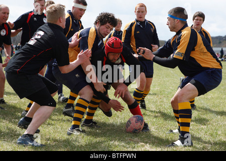 L'université California de Pennsylvanie et West Virginia University joueurs lutte pour la balle durant un match de rugby. Banque D'Images