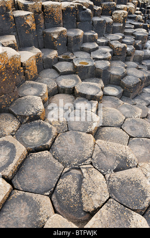 L'hexagonal en pierre de basalte polygonal principalement les colonnes de la Giant's Causeway, le comté d'Antrim, l'Ulster (Irlande du Nord, Royaume-Uni. Banque D'Images