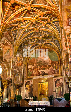 Autel de la bienheureuse autel del Santisimo Sacromento Mezquita Cordoba Espagne Fresques Banque D'Images