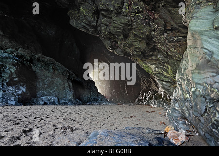 Merlins Cave ci-dessous château de Tintagel Cornwall South West England UK Banque D'Images