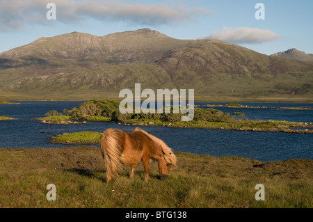 Loch Druidibeg South Uist, Hébrides extérieures, en Écosse. 6962 SCO Banque D'Images