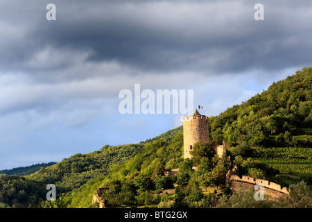 Château, Kaysersberg, Haut-Rhin, Alsace, France Banque D'Images