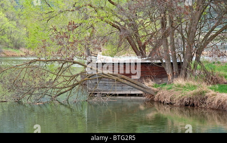 Ce stock photo montre une vieille baraque au bord de la rivière avec un grand arbre la moitié tombé dans l'eau. Banque D'Images