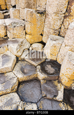 L'hexagonal en pierre de basalte polygonal principalement les colonnes de la Giant's Causeway, le comté d'Antrim, l'Ulster (Irlande du Nord, Royaume-Uni. Banque D'Images