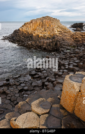 Le Giant's Causeway, le comté d'Antrim, l'Ulster (Irlande du Nord, Royaume-Uni. Banque D'Images